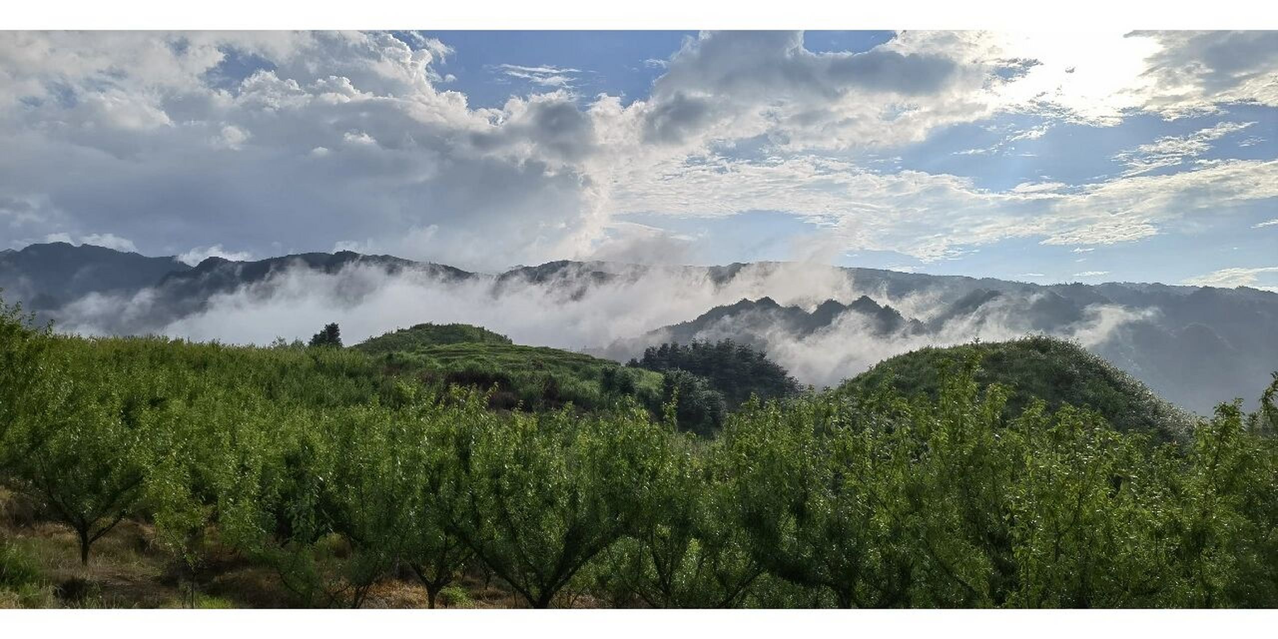 周末出行|广西金秀·巴勒山(一)  我真的要把全网翻遍才找到了柳州的