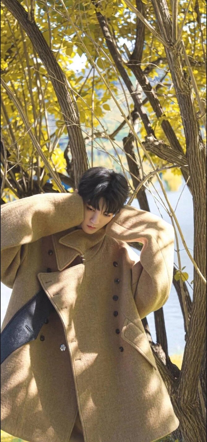 王俊凯神图壁纸