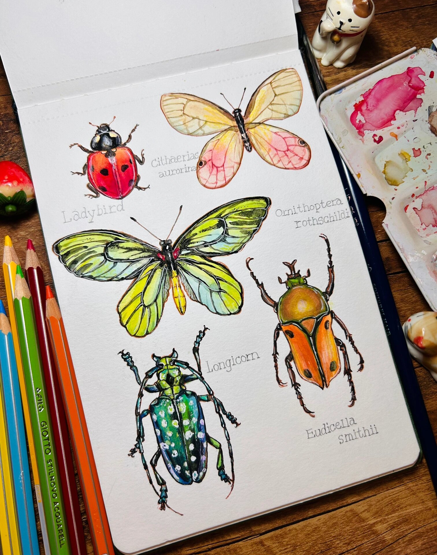 水彩手绘-昆虫篇08940394