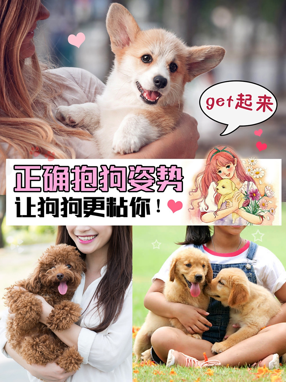 正确抱狗98姿势get起来|让狗狗更粘你 很多铲屎官都很喜欢抱狗狗