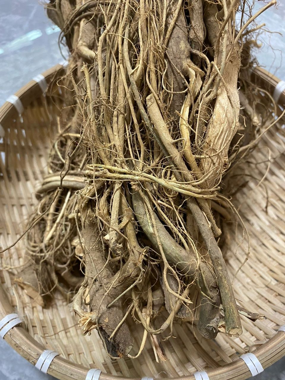牛奶根与五指毛桃都是生长在深山中的植物,取其根部使用,都能煲出