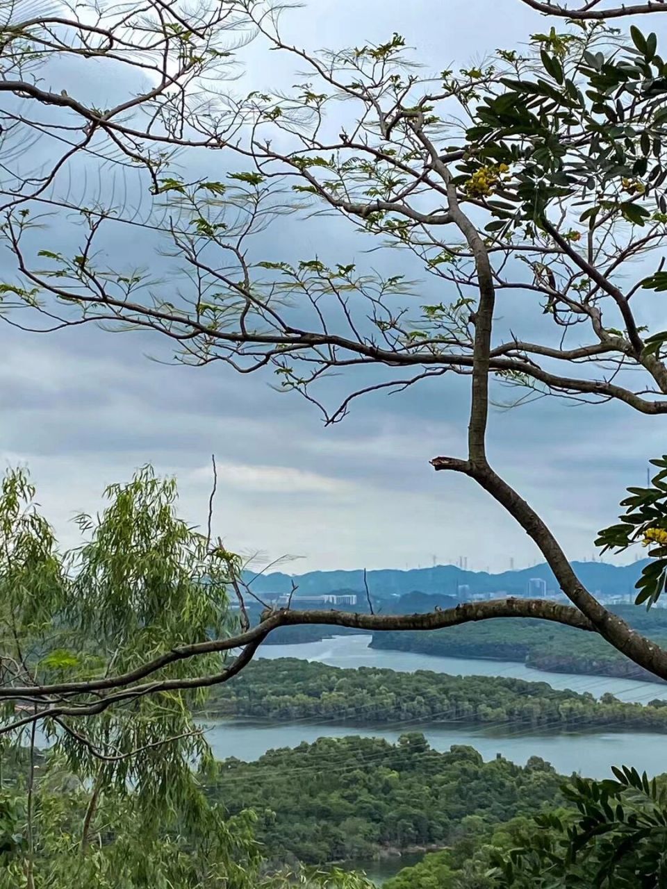 深圳爬山|不累人的有氧公园平栾山 今天周末,一起去爬山吧 平峦山公园