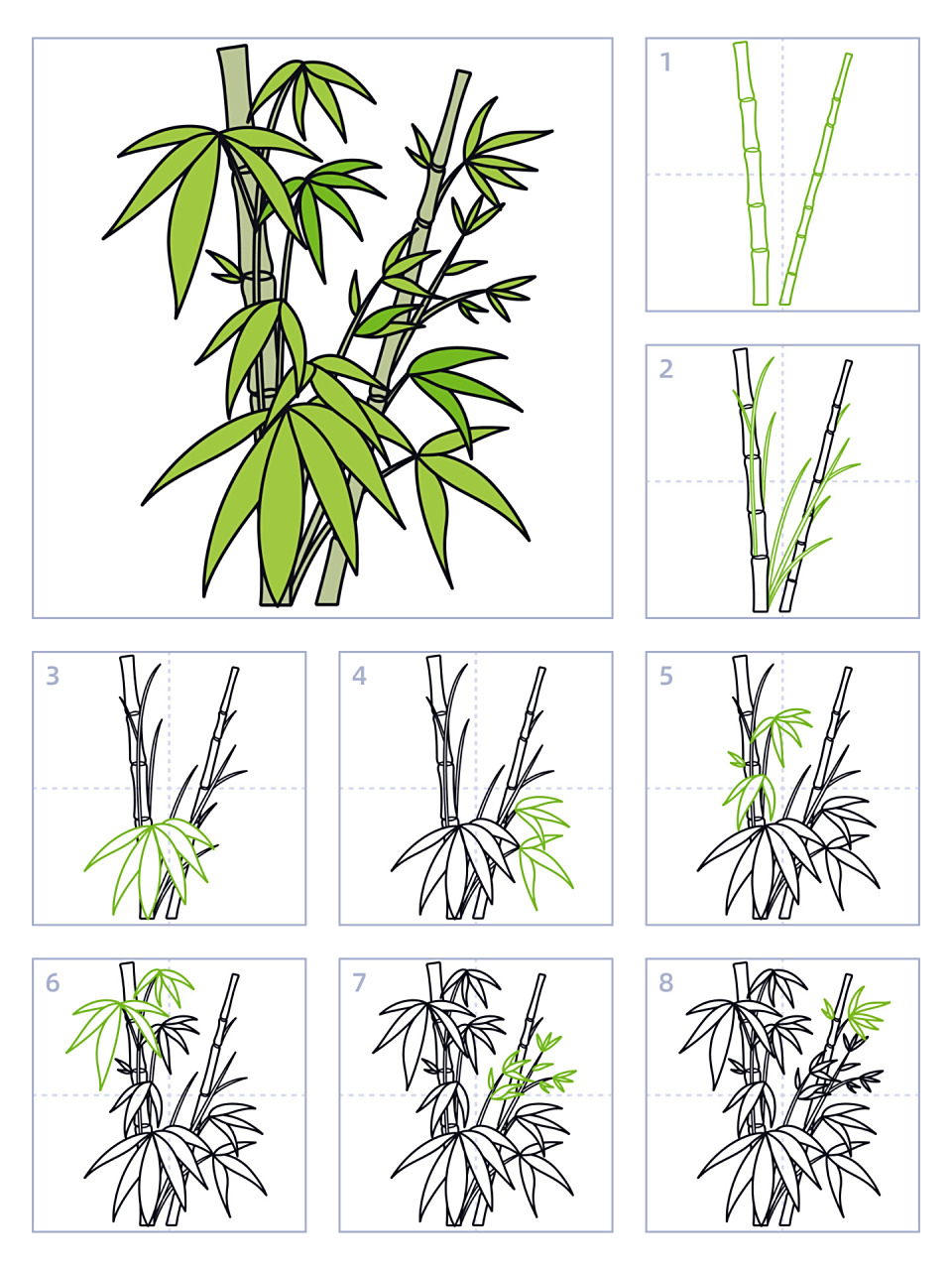 简笔画104期|竹子