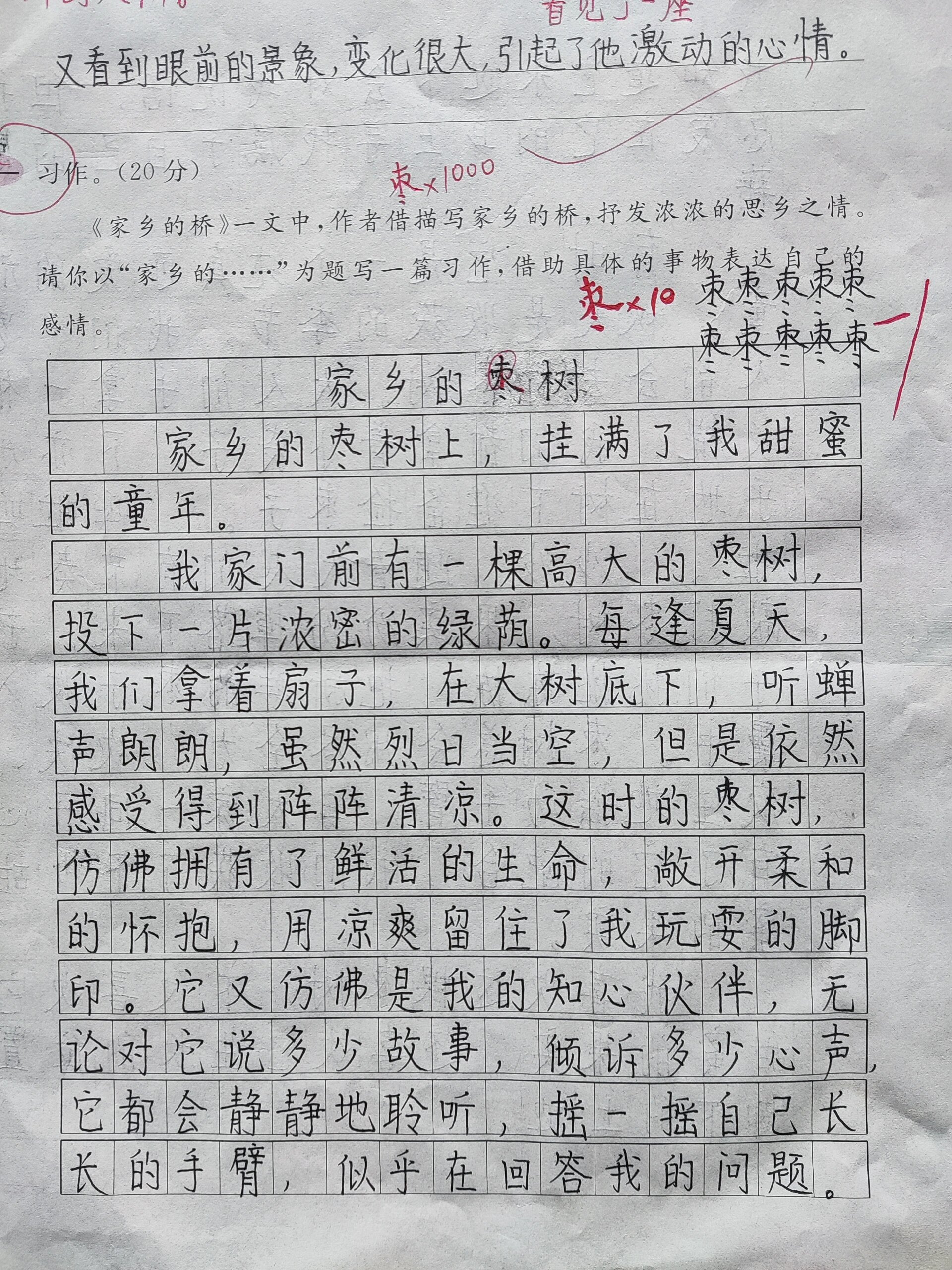 五年级作文《家乡的……》家乡的枣树