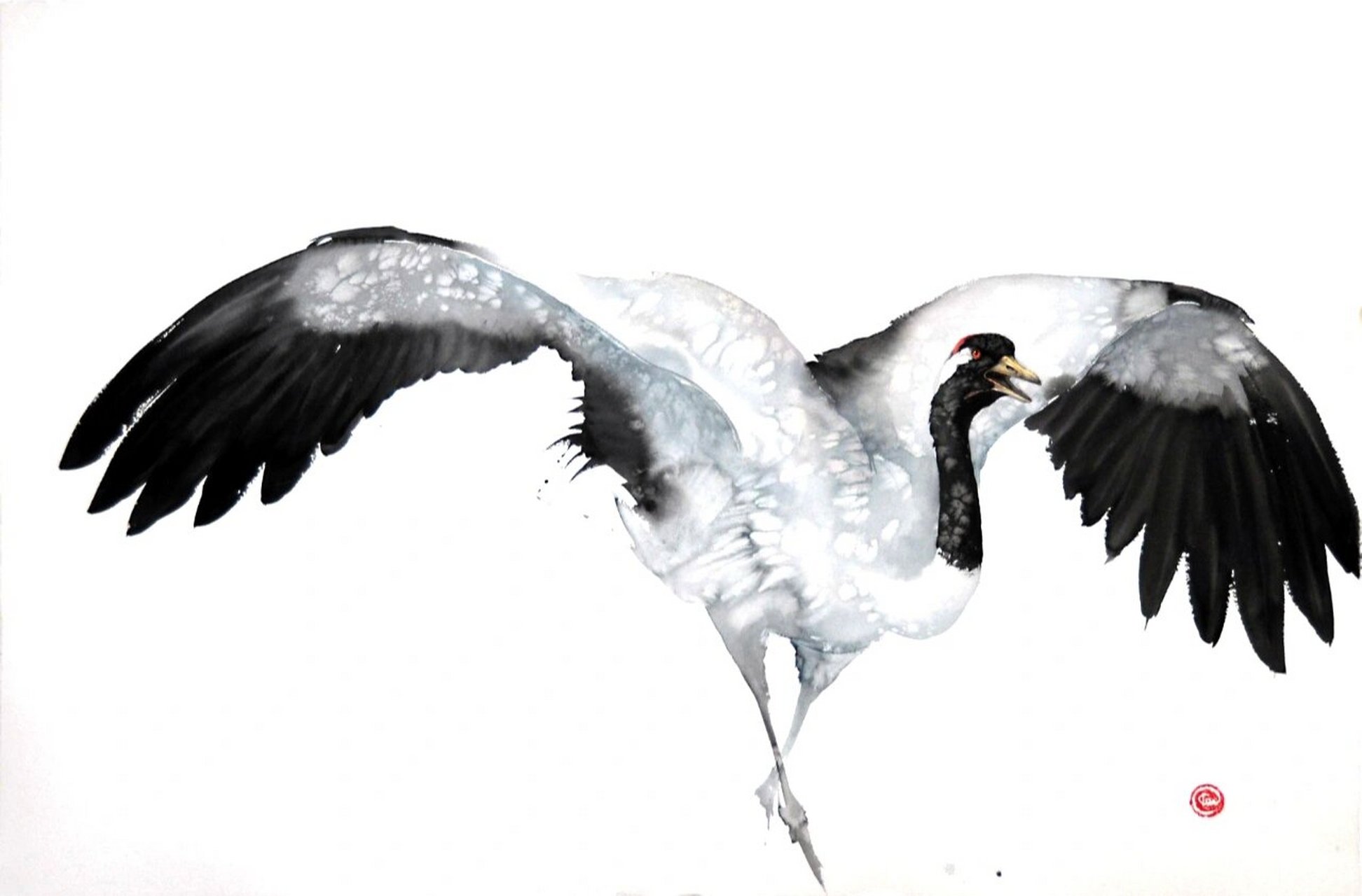 仙鹤 丹顶鹤 水彩写意动物 karl