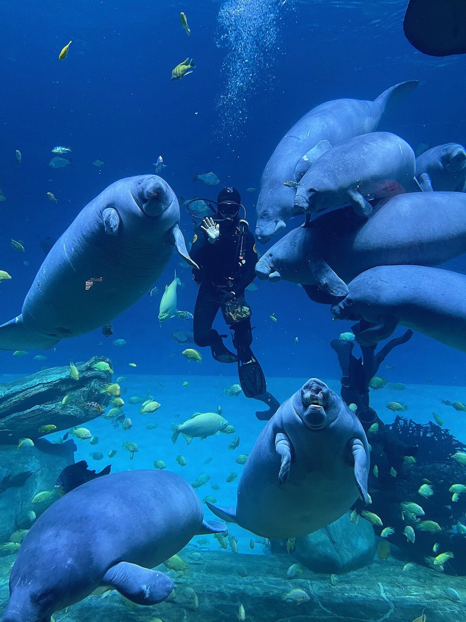 长隆海洋王国和宇宙飞船游玩攻略 我们去的时候是9月26号,周二,没什么