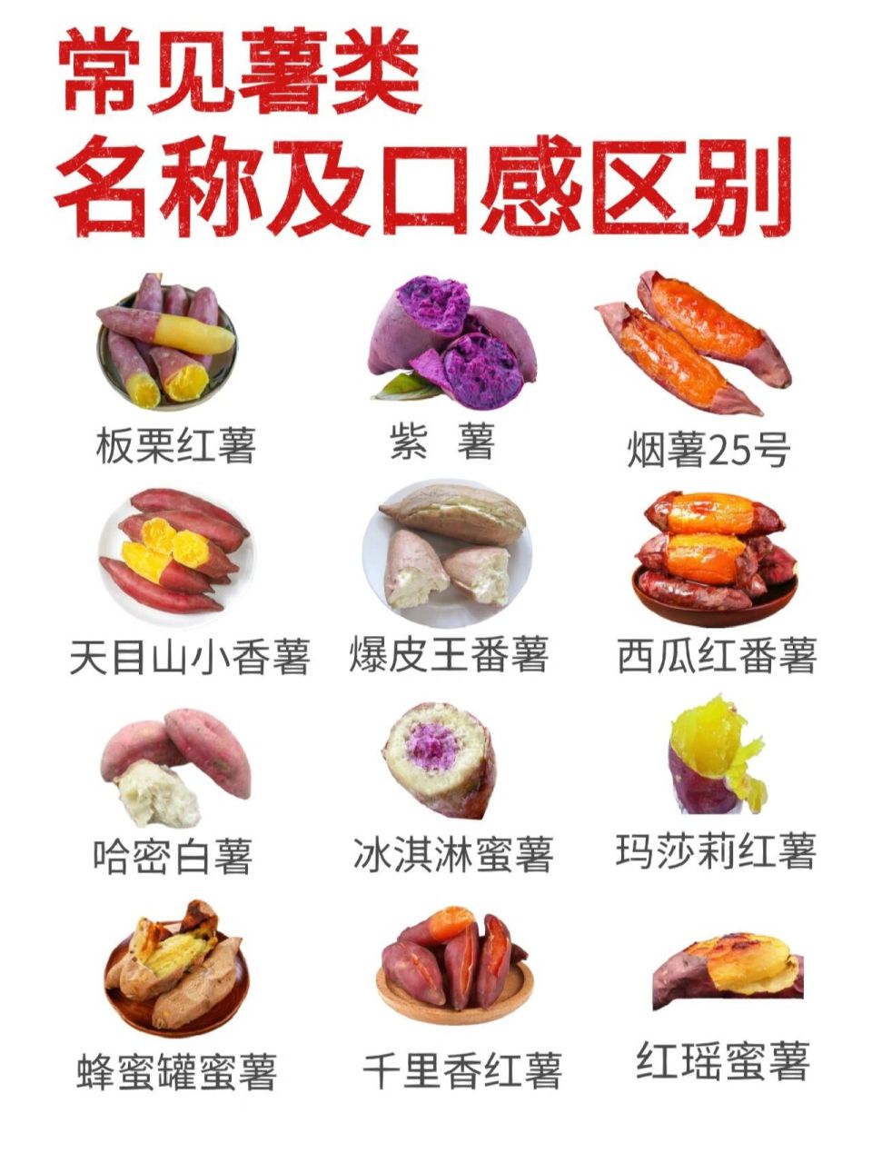 薯类爱好者-常见品种及口感区别 薯类爱好者-常见品种及口感区别