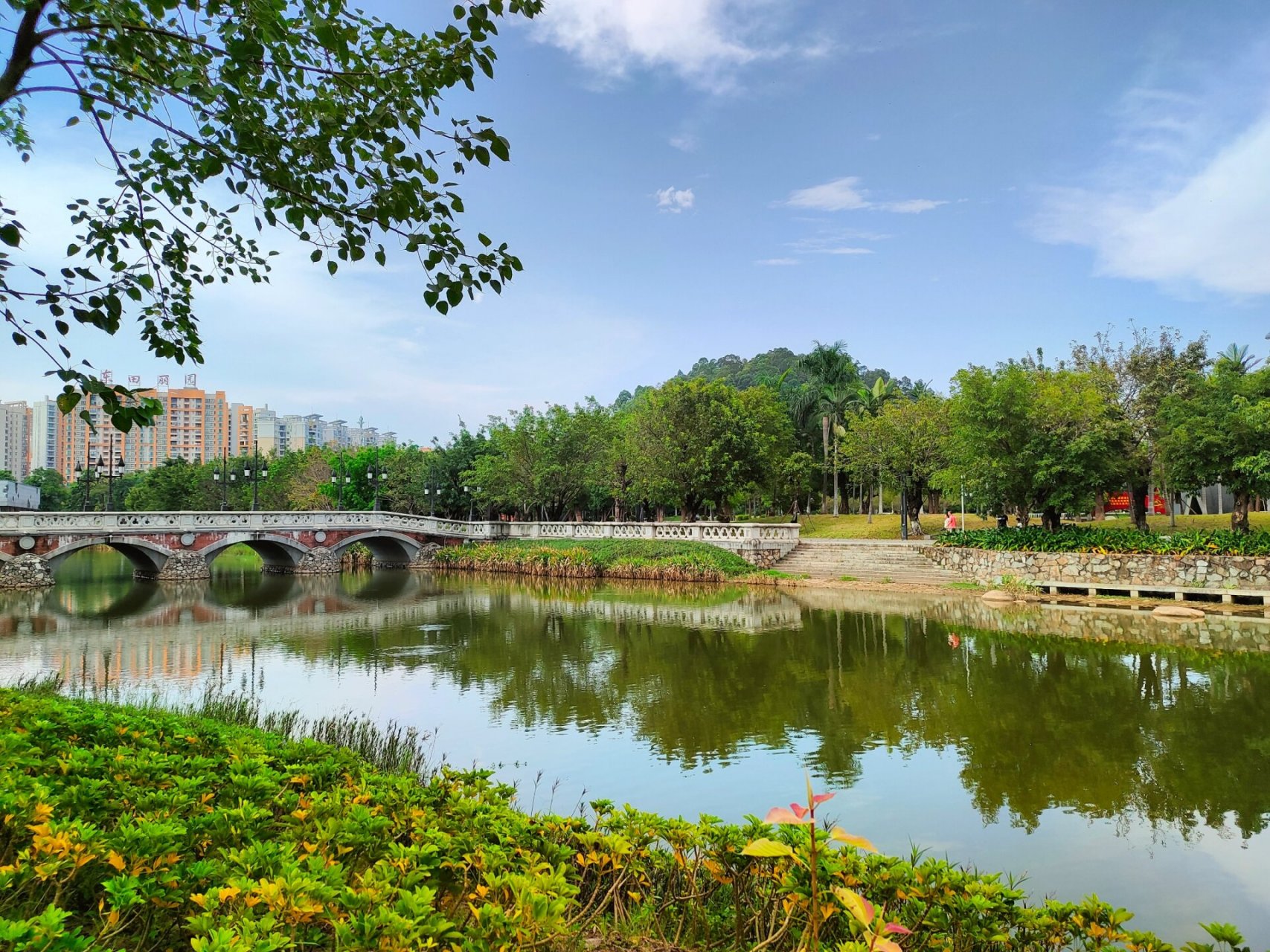 东莞常平常新公园   东部中心医院附近,东田丽园附近