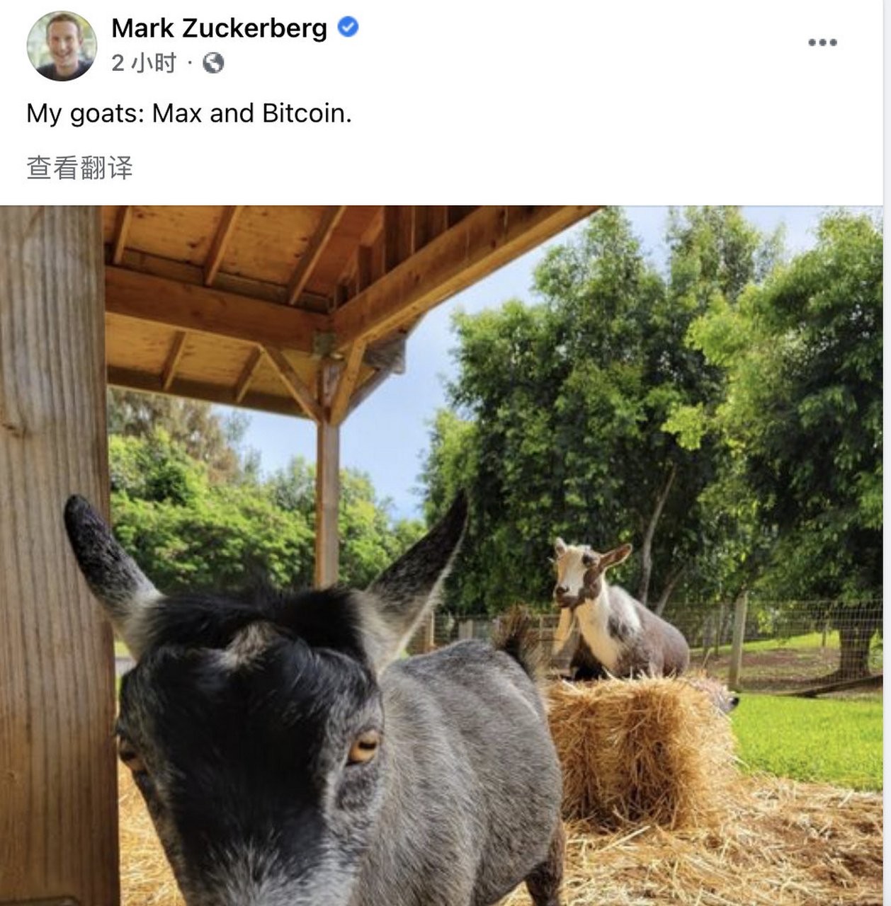 【扎克伯格为自己的山羊取名比特币】  5月11日,facebook创始人mark