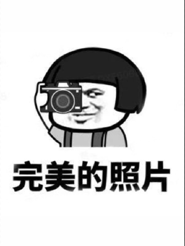 6张专属摄影师的表情包