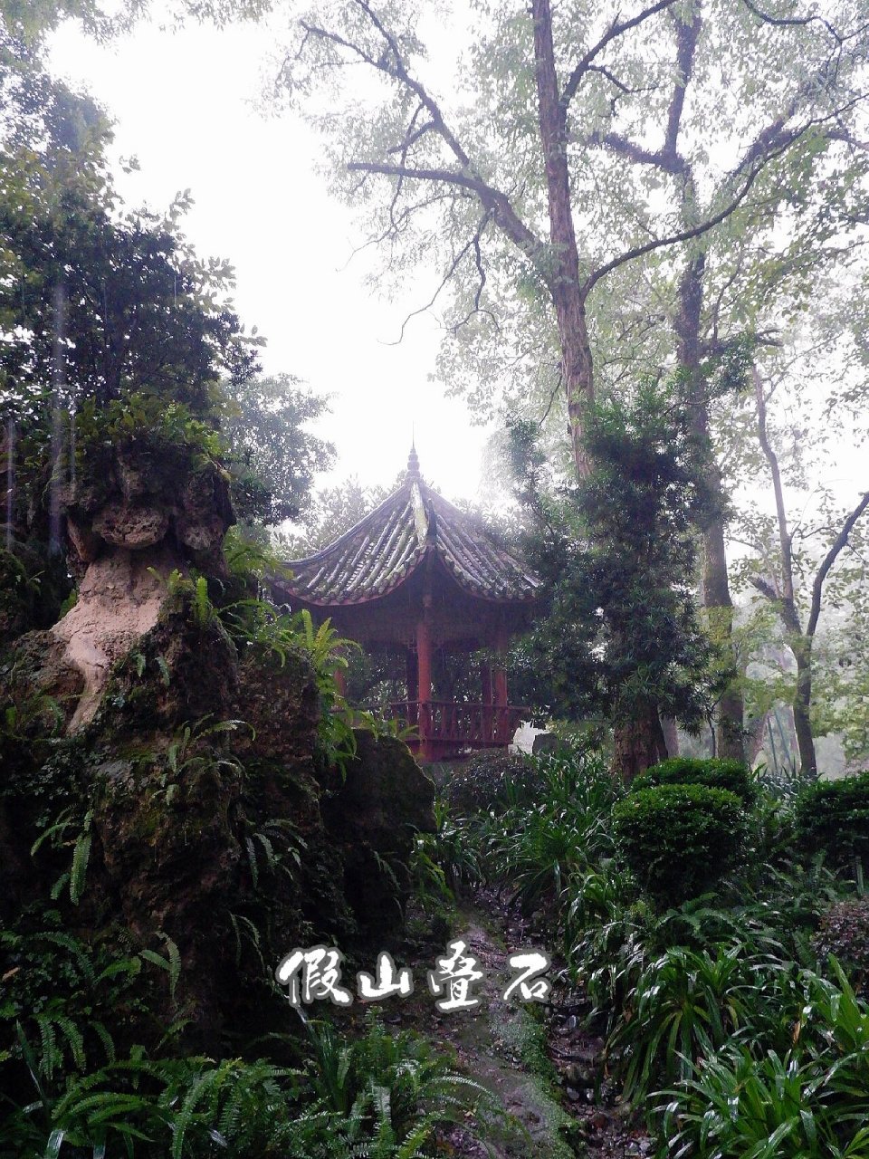 清溪园:藏在都江堰的人间仙境 78不同于精致典雅的江南园林,蜀中