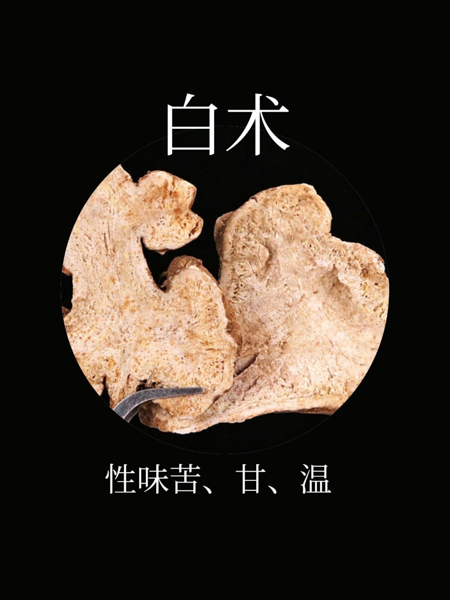 白术别名于术,冬术,浙术.