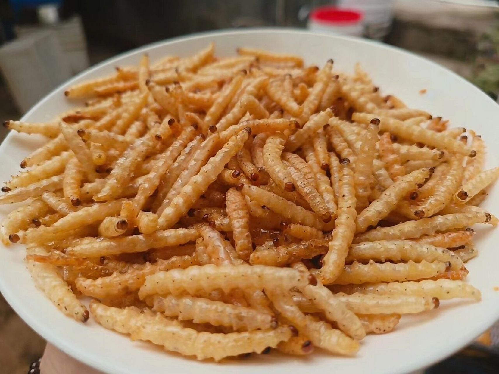 油炸竹虫 高蛋白 香喷喷 安排起来