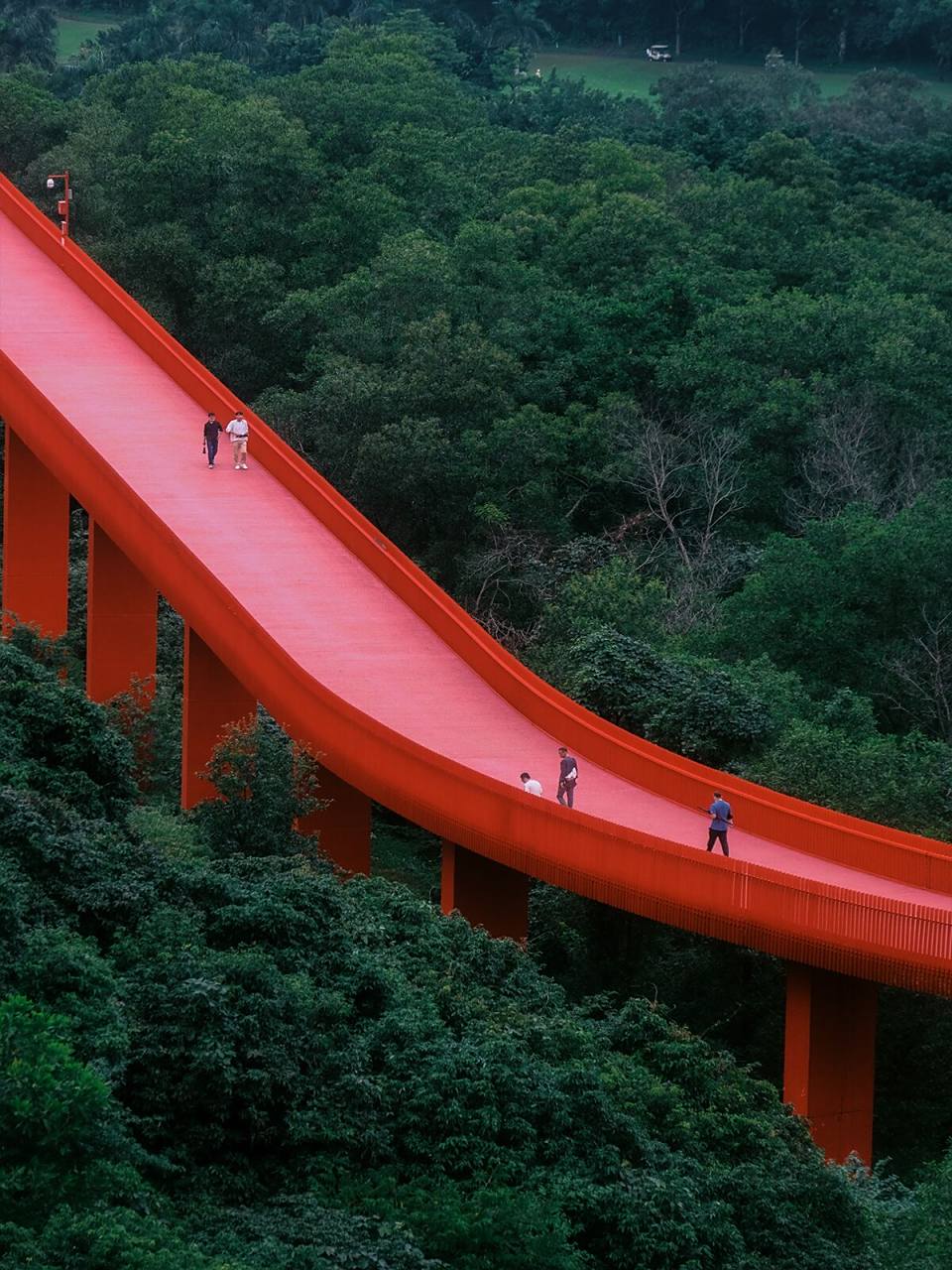 深圳绿道篇 |雨后的虹桥公园更有意境 雨后的虹桥公园更有意境 红色的
