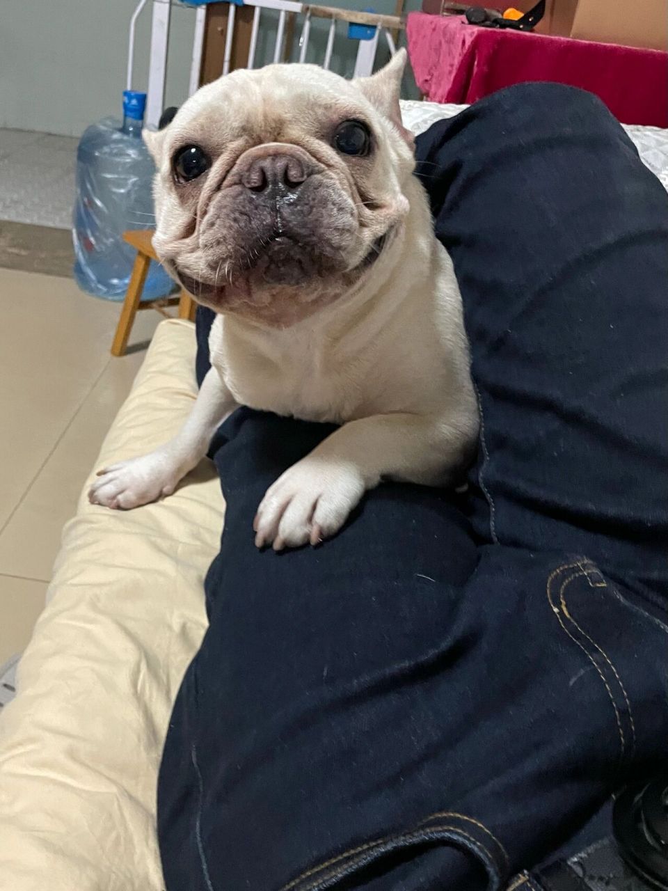 姓尹,也想要一个可爱的谐音网名06 类似一郭炖不下这种 太可爱啦 在