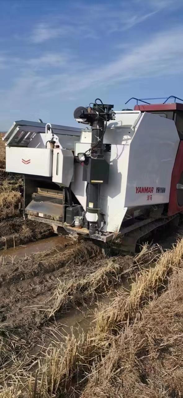 洋马1180全喂入收割机.
