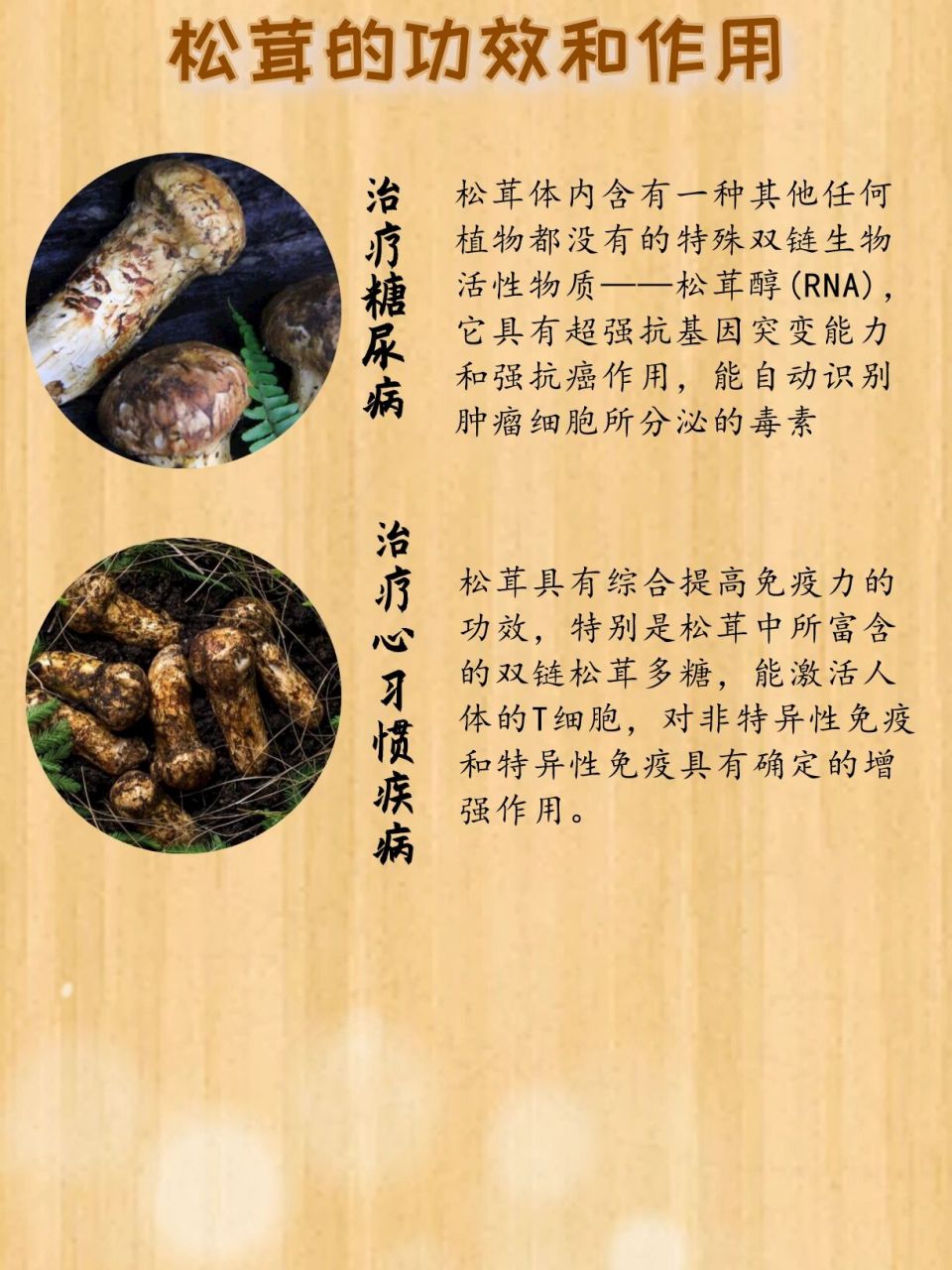 松茸的功效和作用有哪些71看了就知道73 9799松茸菌又叫松茸