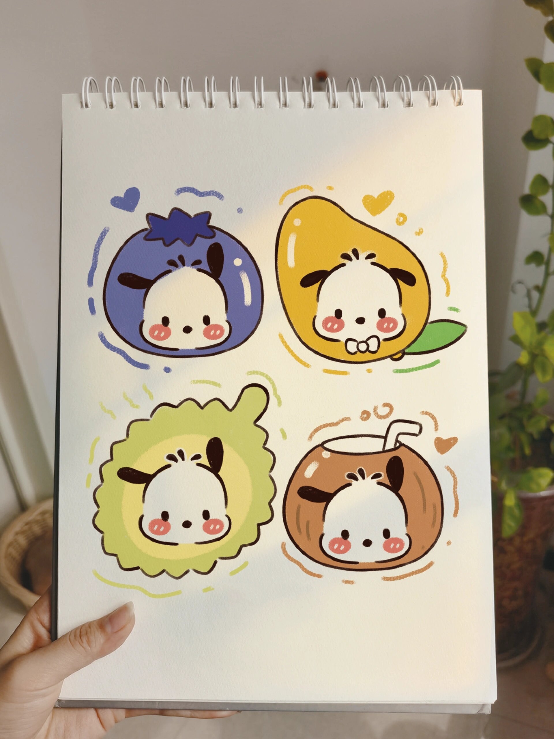 零基础手绘教程|三丽鸥|帕恰狗|简笔画