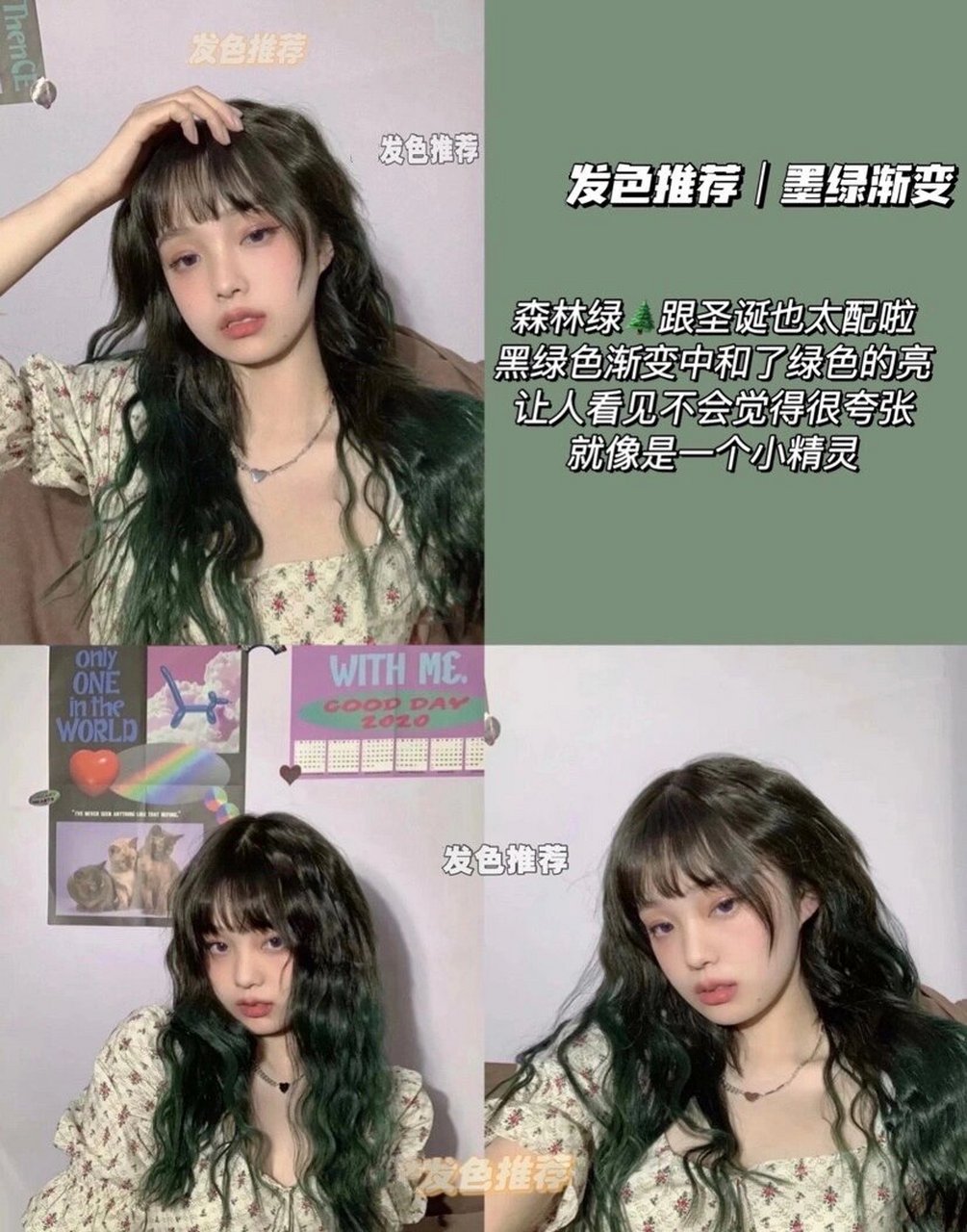 绝美6015 渐变发色推荐6015 发色推荐|墨绿渐变 森林绿90跟