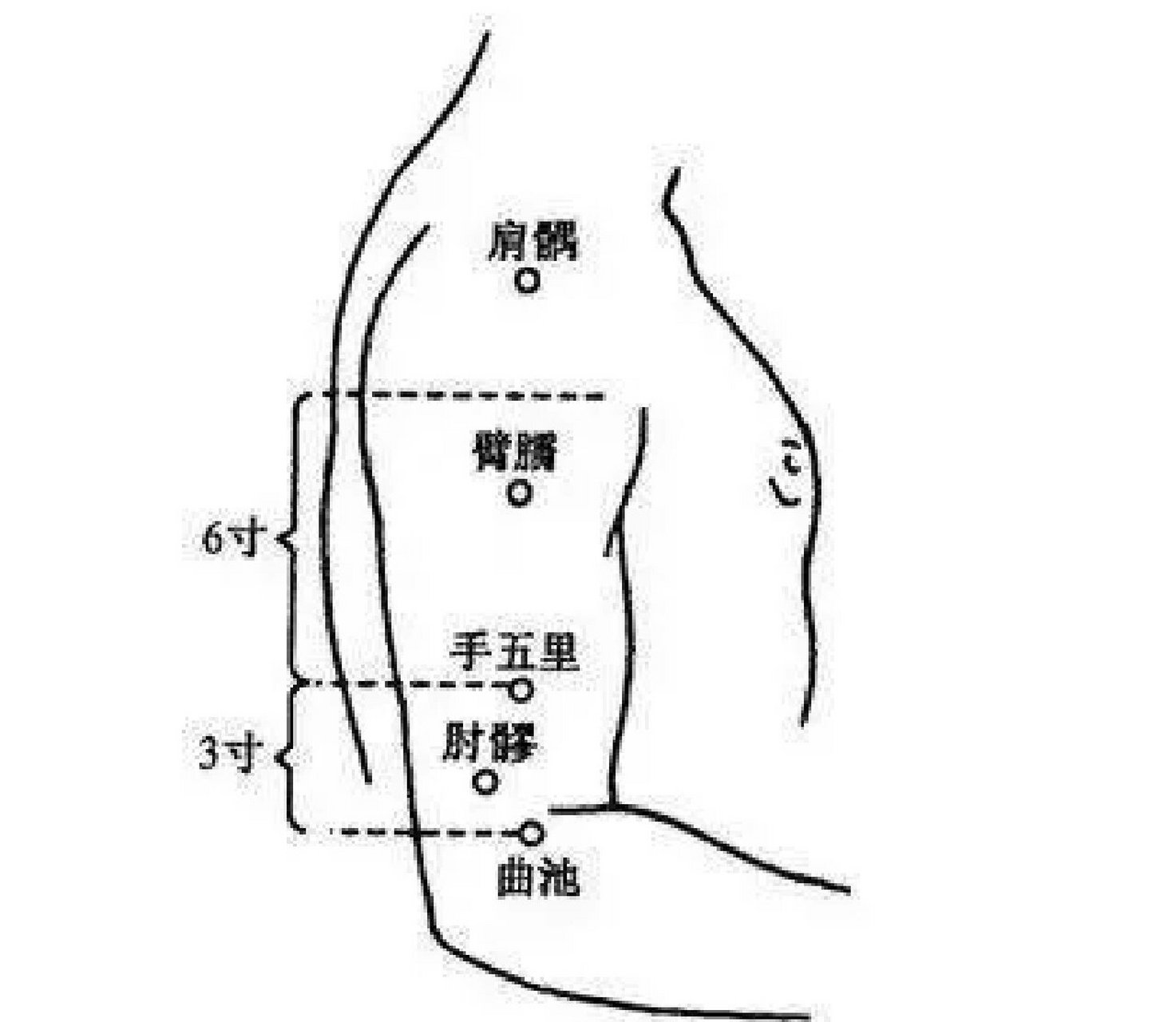 臂弯寸关的位置示意图图片