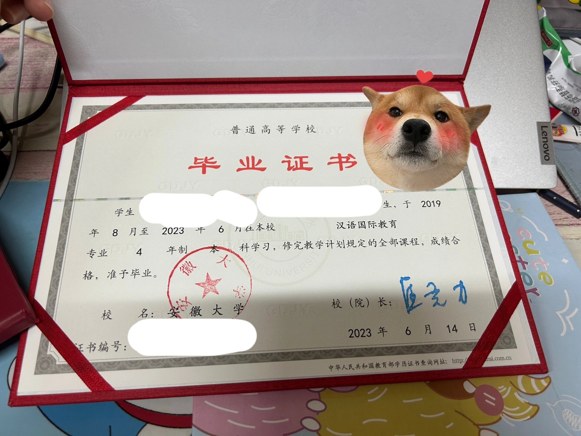 安徽大学汉语国际教育专业