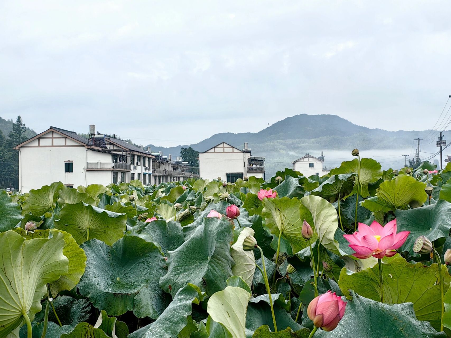 避暑胜地:景宁云中大漈 云中大漈景区,位于浙江省景宁畲族自治县县