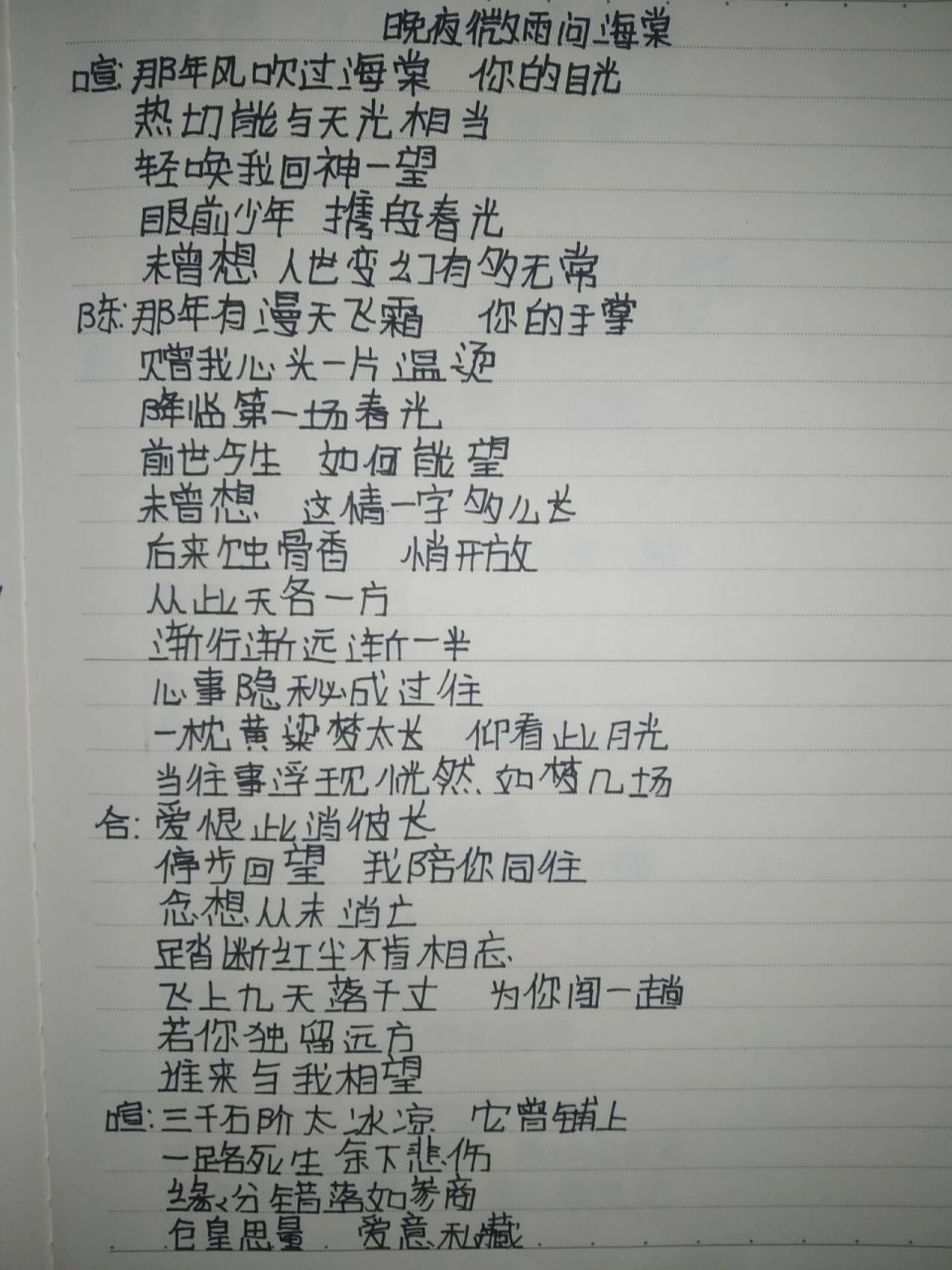 晚夜微雨问海棠歌词 字丑勿喷