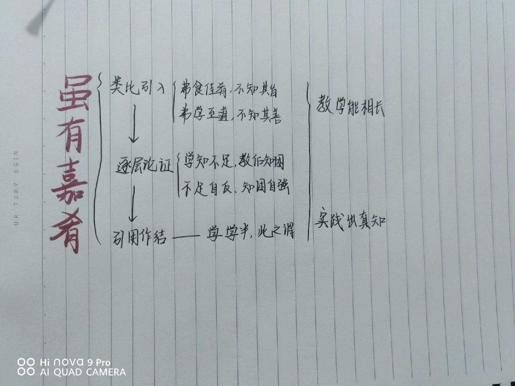 《虽有嘉肴》阅读题 板书 《虽有嘉肴》阅读题 板书