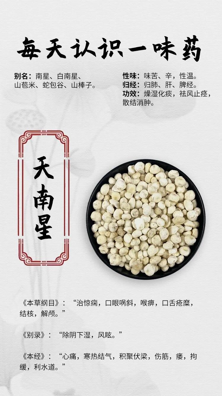 【每天认识一味药】 天南星别.@落日下的深情的动态