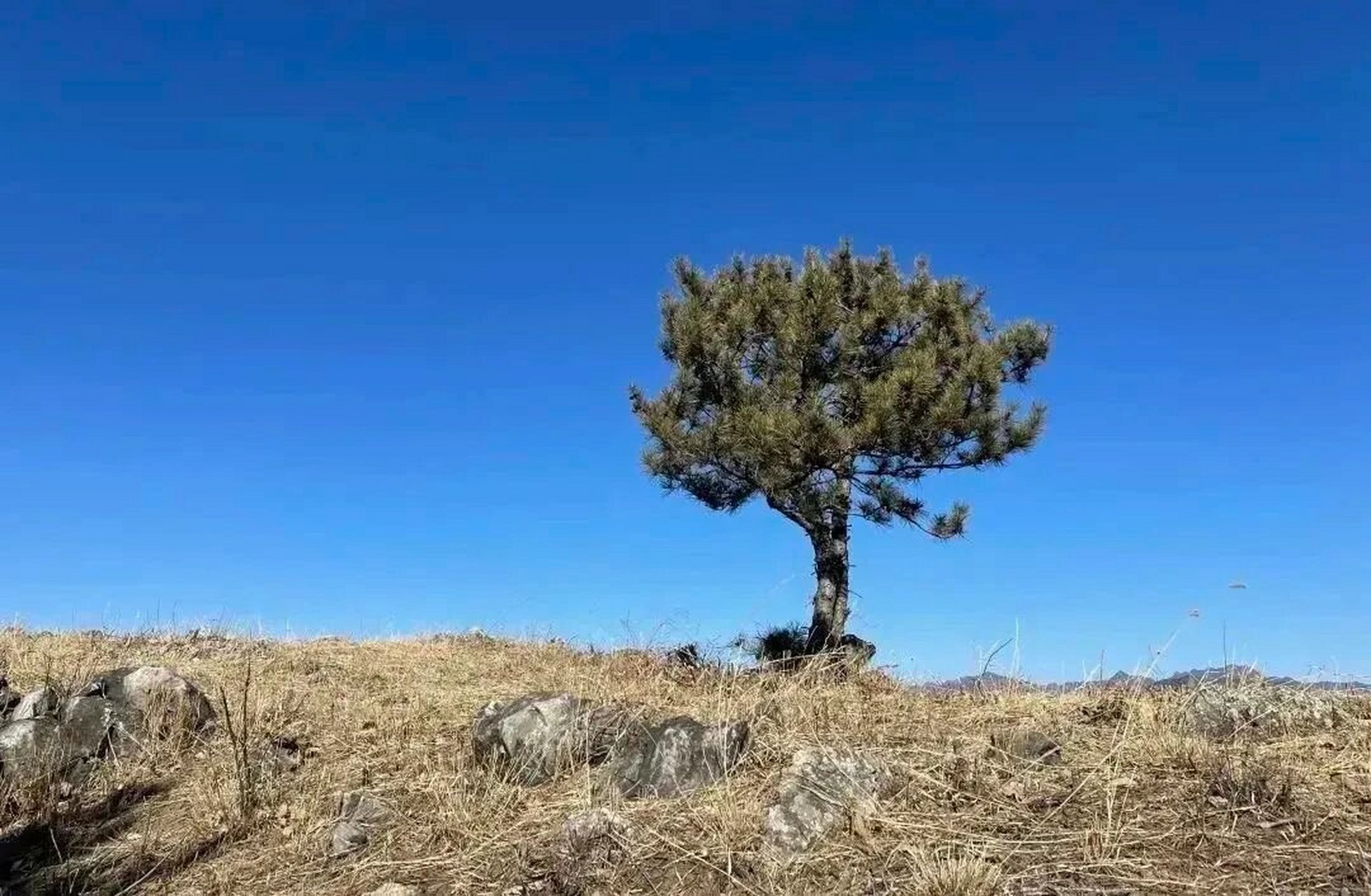 假期逃离计划二:蓟县黑峪神秘谷 野趣观山湖   7215 黑峪神秘谷