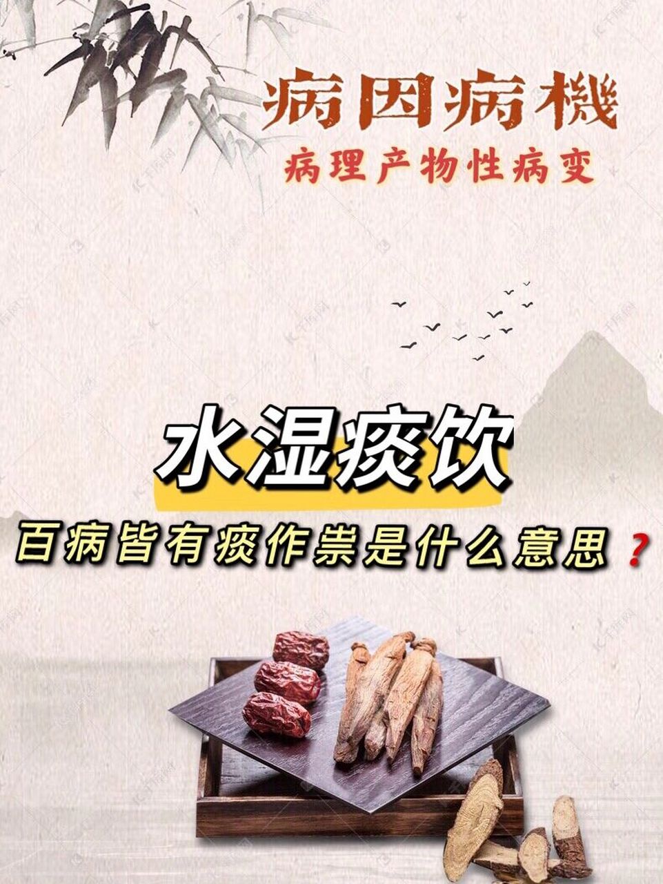 病因病机:水湿痰饮 百病皆有痰作祟什么意思 《病因病机》病理产物性