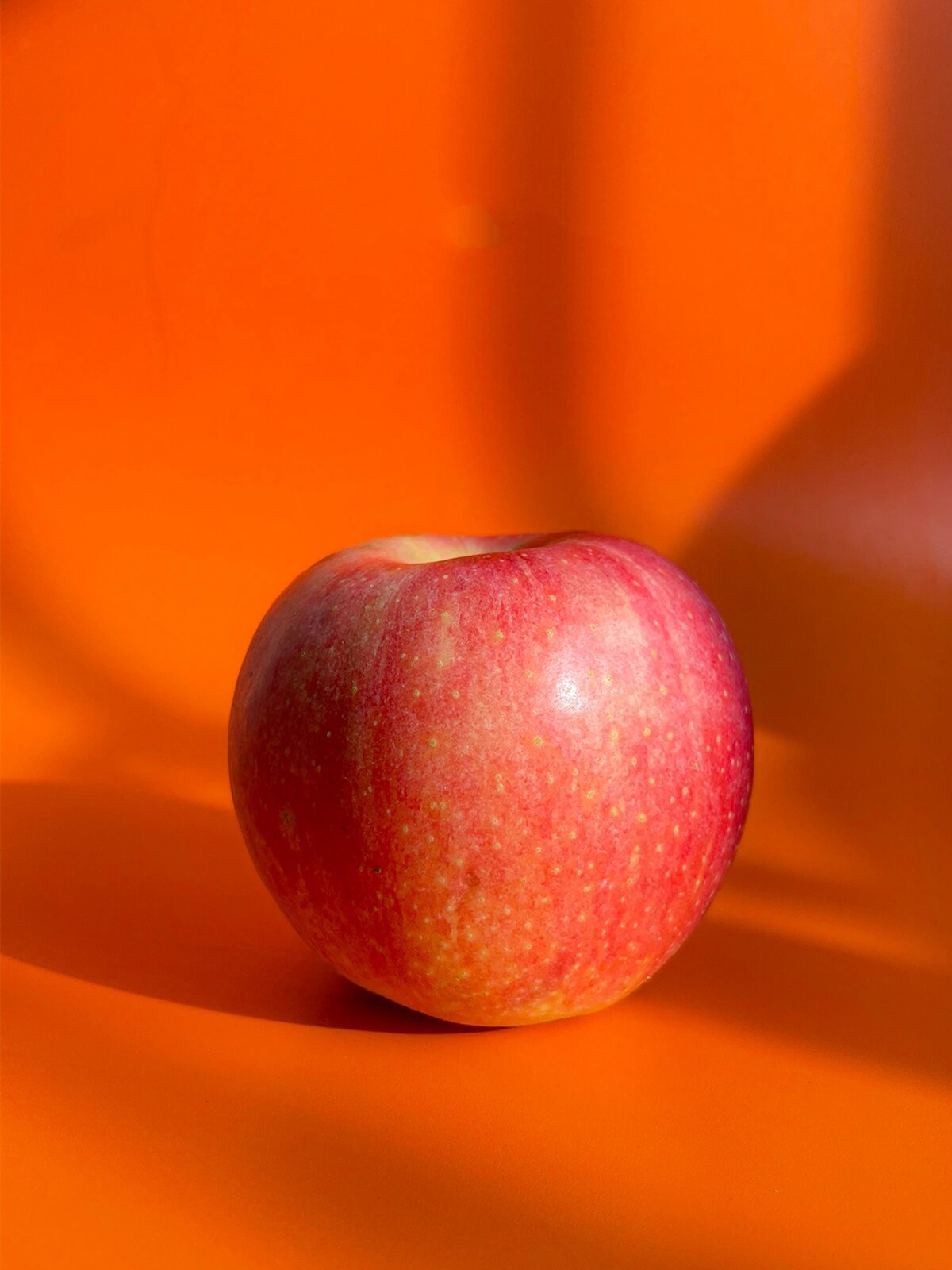 静物摄影:爱就是要你"苹"安    苹果