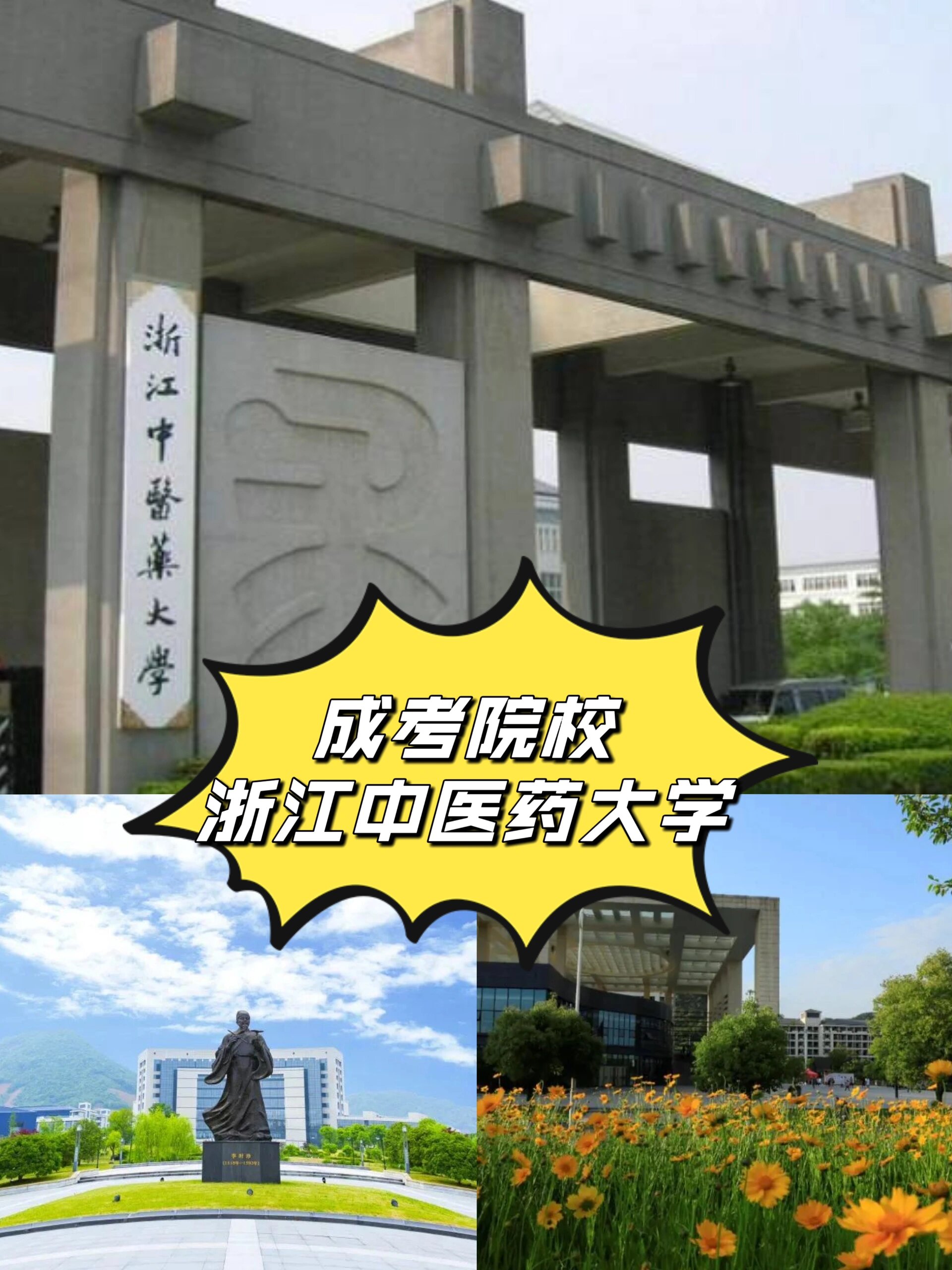 【成考院校】浙江中医药大学招生简章