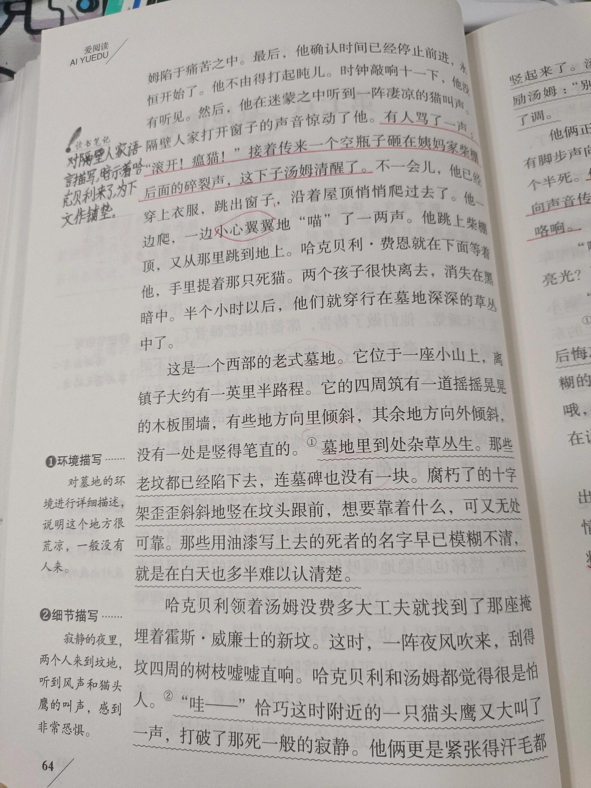 《汤姆索亚历险记》第七章墓地惨案,读书笔记  导读  相关链接