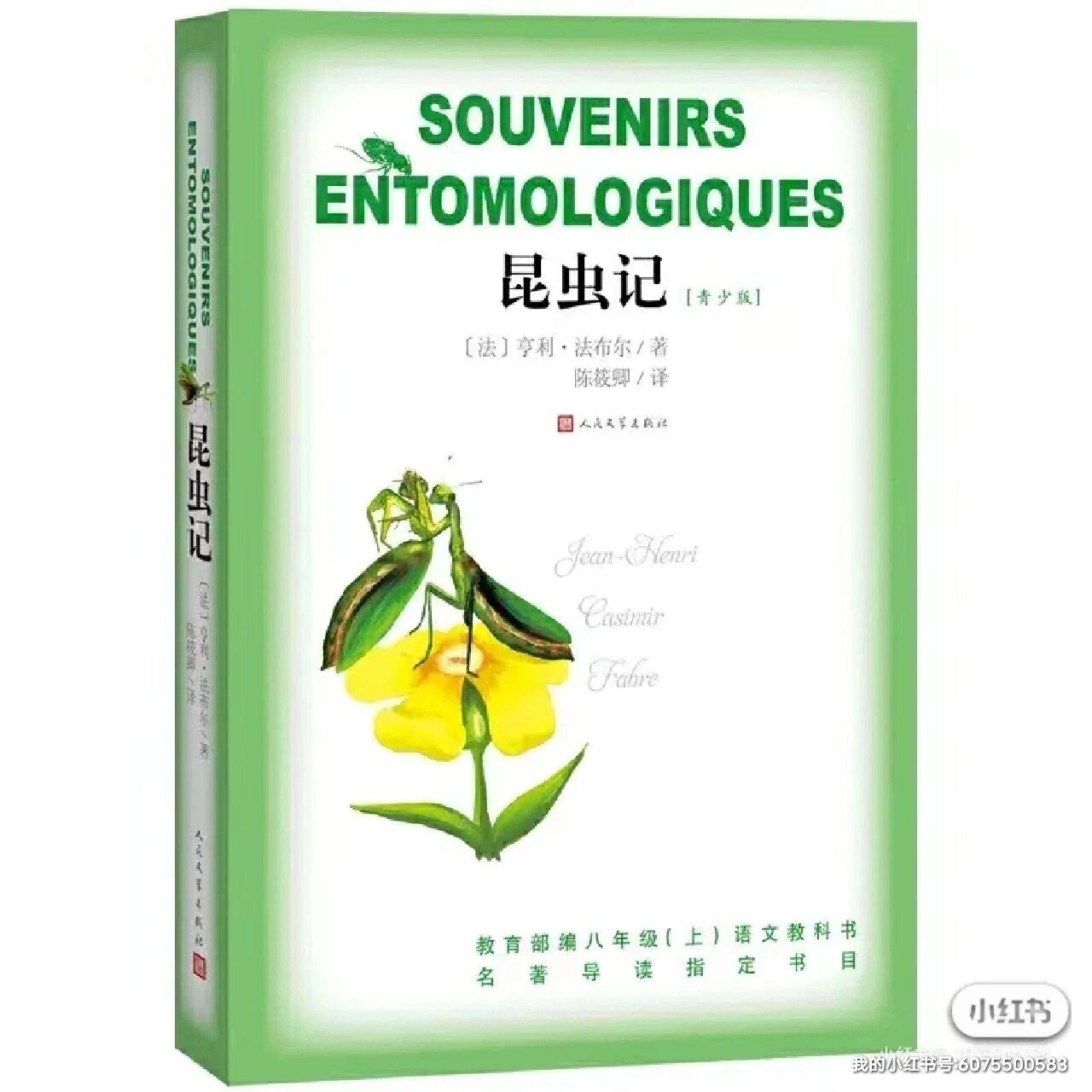 《昆虫记》读书笔记~第十三章《意大利蟋蟀》