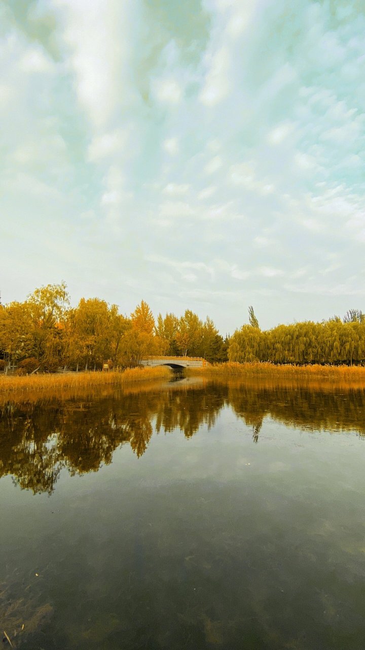 呼市最美秋景公园,快让我看看你们的秋景照 偶然间发现的扎达盖公园