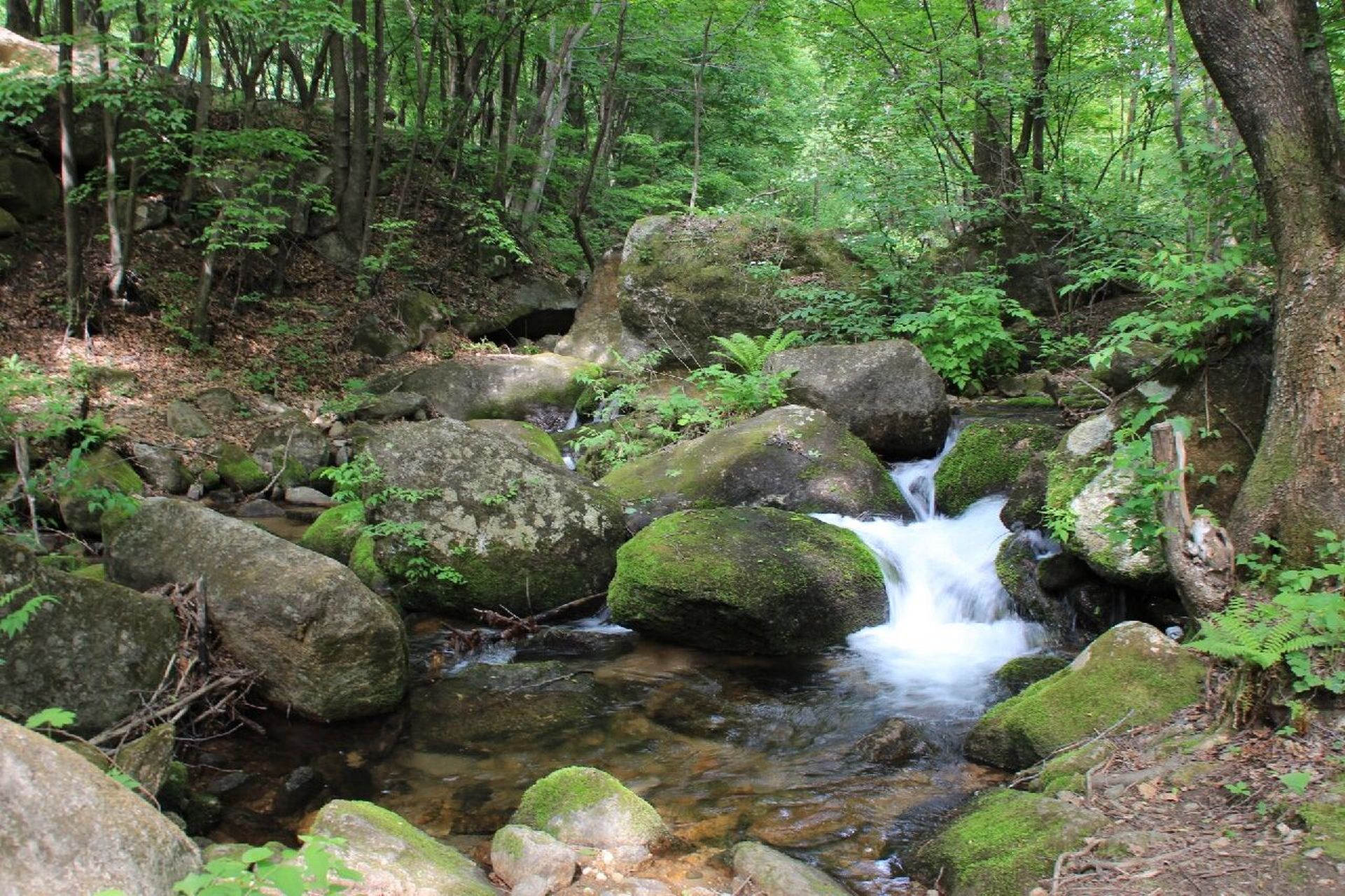 蛟河鹿角沟半日游 位置距离长春150多公里,高速往返费用112.
