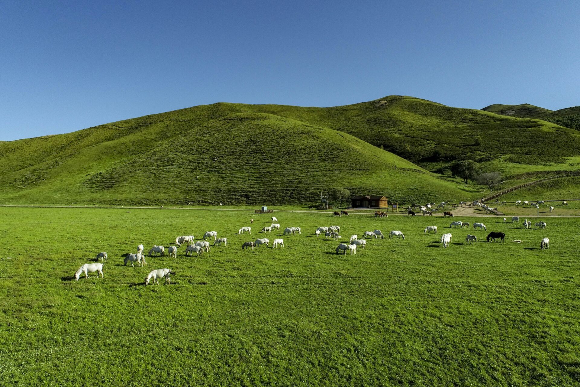 内蒙古之美二:乌兰毛都草原 内蒙古乌兰毛都草原是中国北方最大的草原