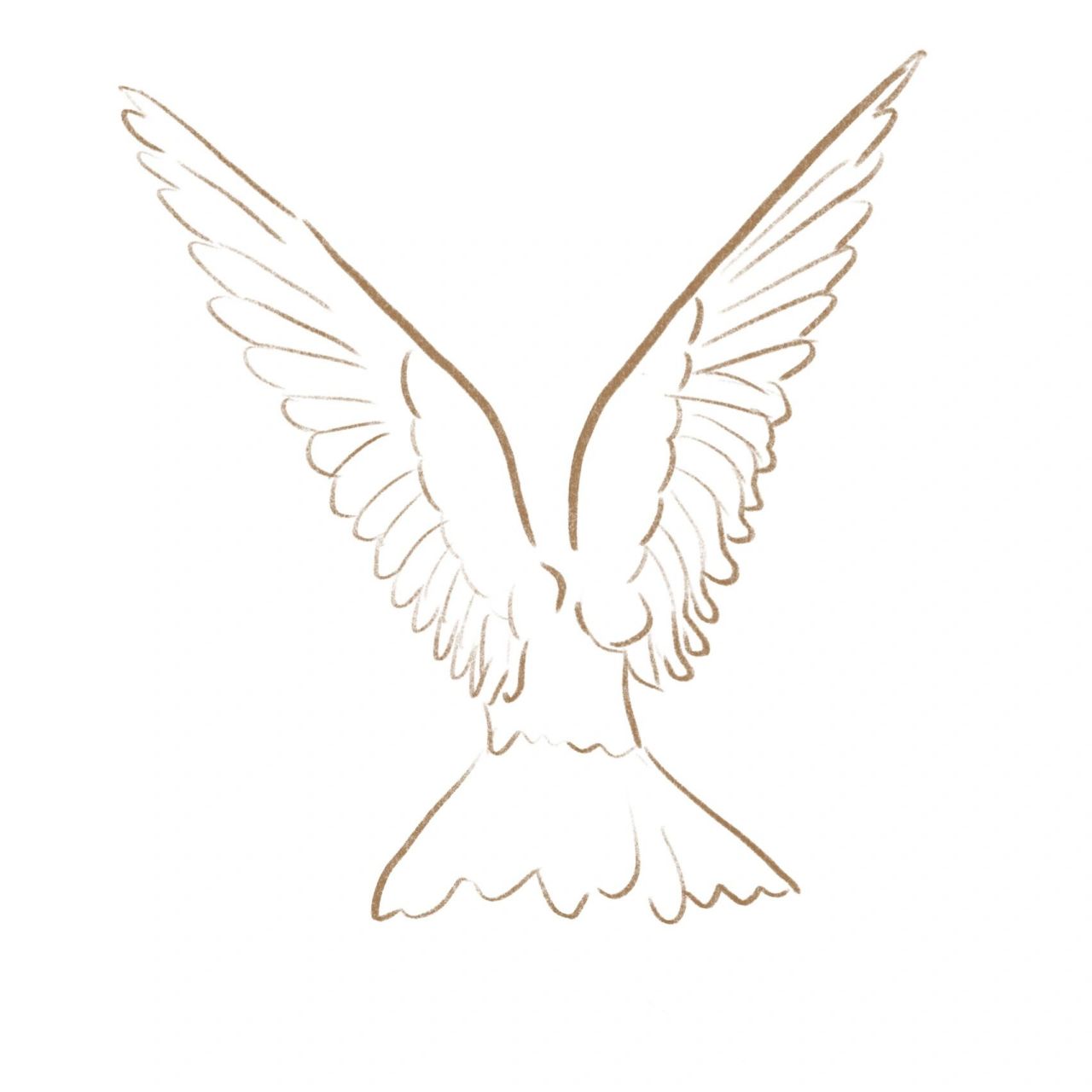 画个简笔画~是你家鸟儿展翅膀的样子嘛?