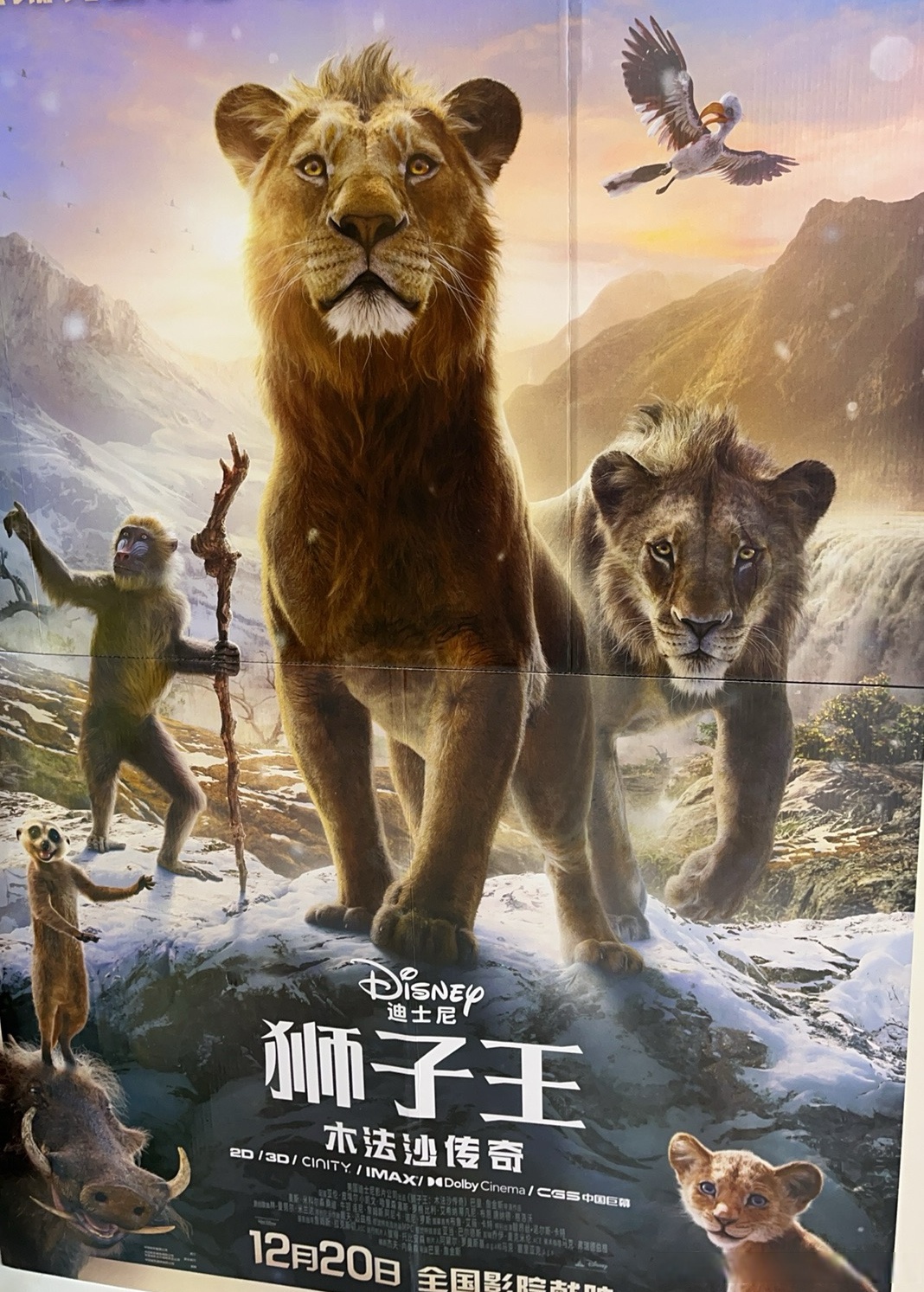 片子一开始就看哭了(真激动哭了),小时哭是因为在路上的辛巴