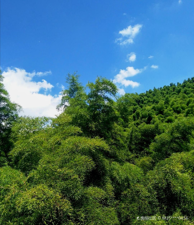 南山竹海秋季图片