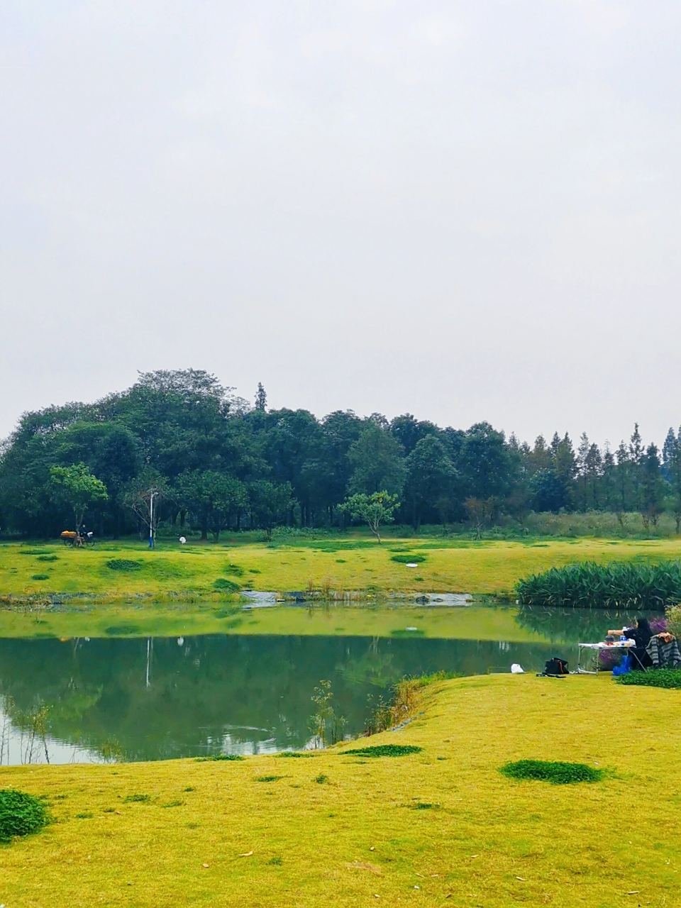 钓鱼人天堂00溜娃遛狗|两河城市森林公园 两河城市森林公园 60