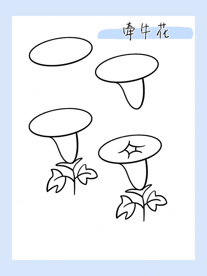 牵牛花简笔画图片大全图片