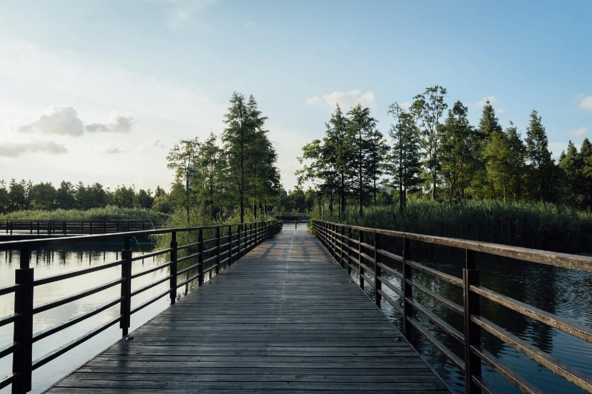 桐乡|凤凰湖 风光篇