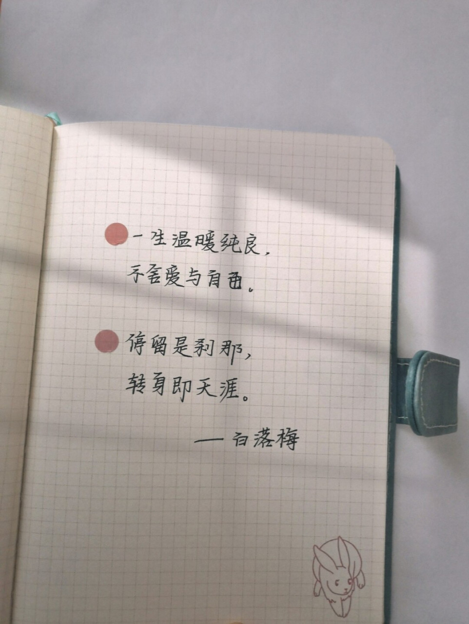 666966天/一生温暖纯良,不舍爱与自由97 手写练字打卡6669