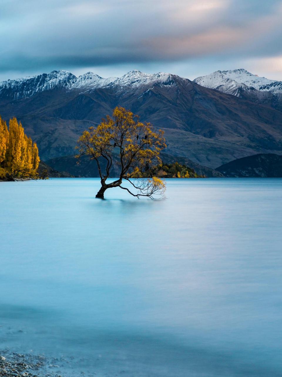 主页还有建筑,人物,动物,花卉,美食,饮品,蔬菜和水果类的素材,需要的