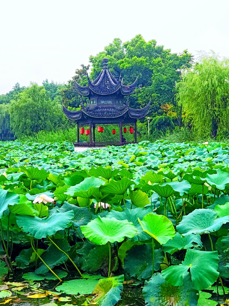 昆山花桥旅游景点图片