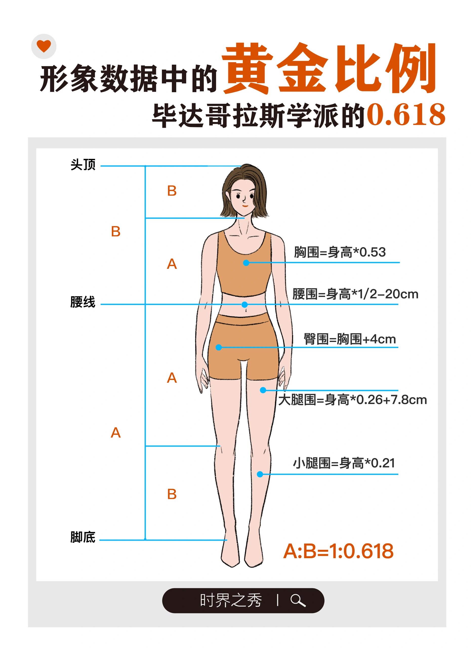 风格数据 人体的黄金比例/黄金分割