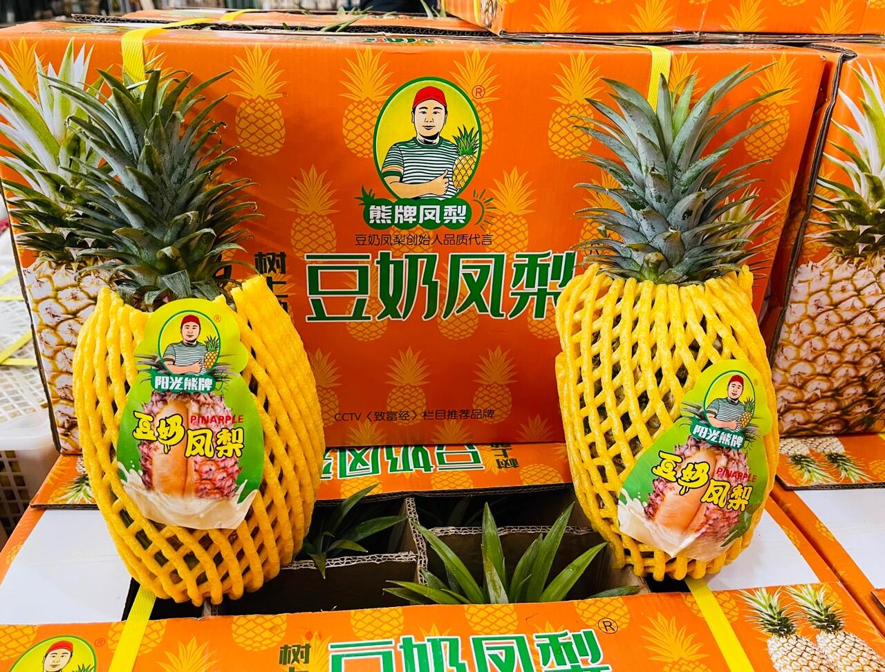 熊牌豆奶凤梨图片