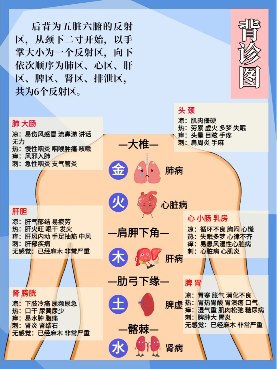 男士背部反射区图解图片